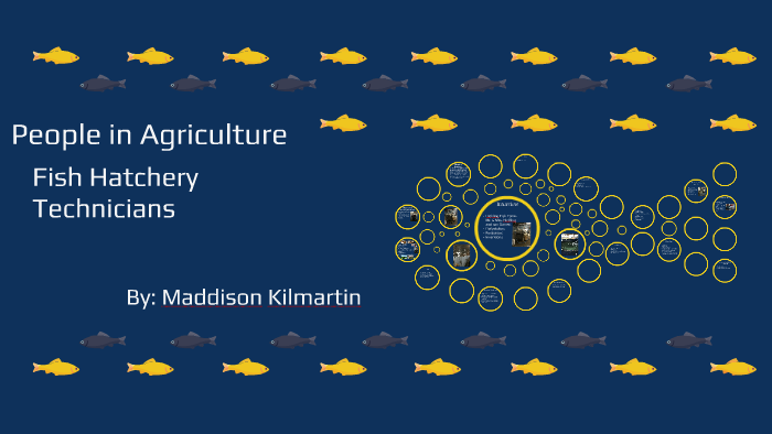 fish hatchery Technician by Maddie Kilmartin