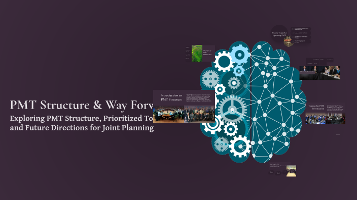 PMT Structure & Way Forward by Stephen Flores on Prezi
