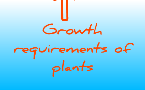 Growth Requirements Of Plants By Rebecca Mitchell On Prezi