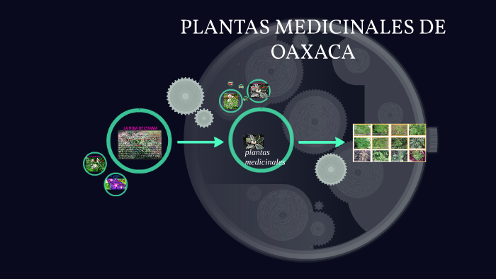 PLANTAS MEDICINALES DE OAXACA by Gabri RJ on Prezi