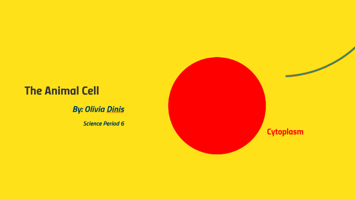 The Animal Cell by oliviavpa1 on Prezi