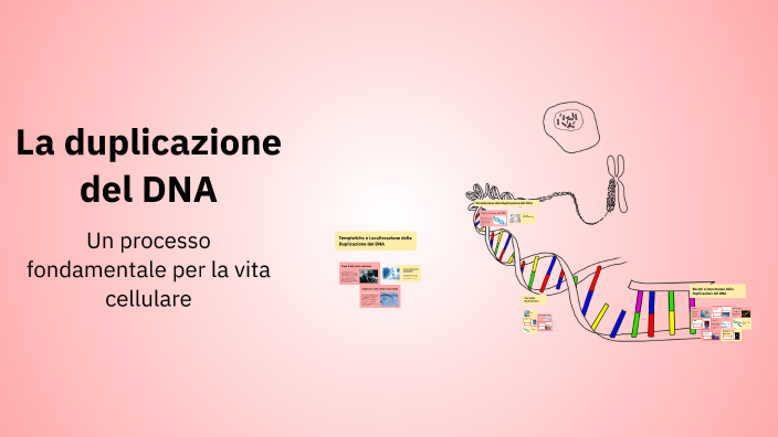 La duplicazione del DNA by Leda Russo on Prezi