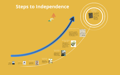 Steps to Independence by jace jensen