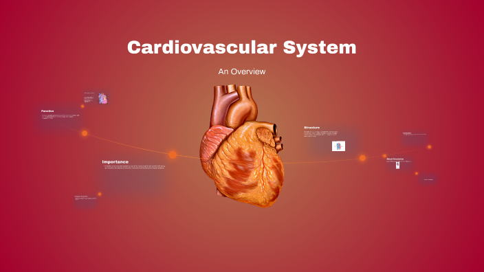 Cardiovascular System by Felicia Heel on Prezi