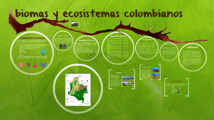 principales biomas y ecosistemas colombianos by laura avila on Prezi
