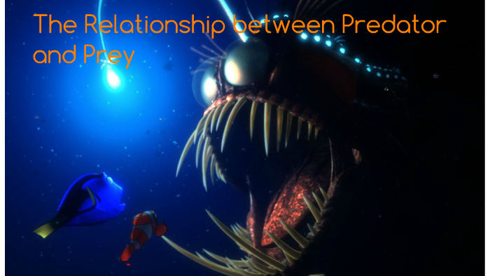 predator vs prey gifted lesson