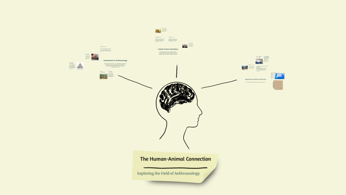 The Human-Animal Connection by Hannah Browne on Prezi
