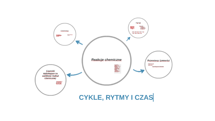 Sprawdzian Z Biologii Cykle Rytmy I Czasy CYKLE, RYTMY I CZAS by Paulina Prokopczuk on Prezi
