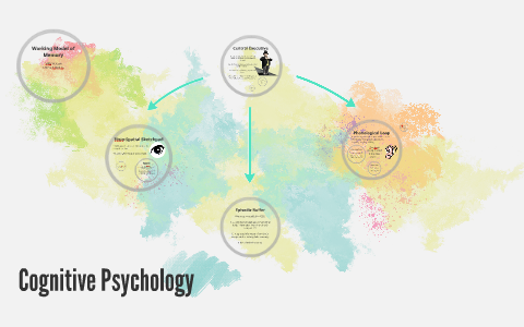 Working Model of Memory by Emma Simpkins on Prezi