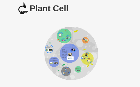 Prezi: Plant cell and factory by Grace Pyon