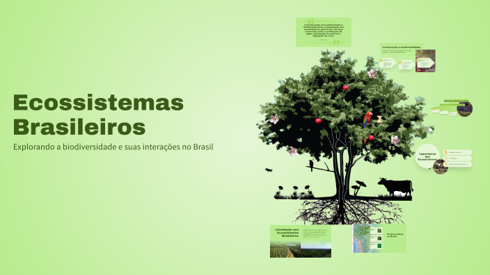 Ecossistemas Brasileiros by MARCIO ALEXANDRE SIVINSKI on Prezi