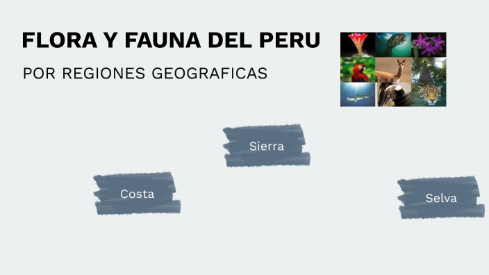 FLORA Y FAUNA DEL PERU by Waldo Nicanor Perez Guevara on Prezi