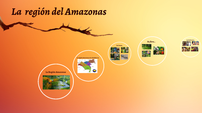 La región del Amazonas by johanna delia on Prezi