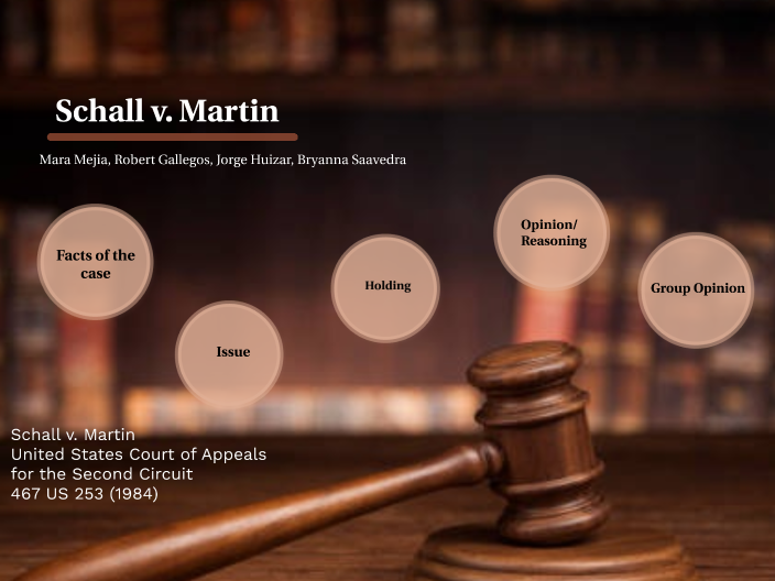 Schall v. Martin by Mara Mejia on Prezi