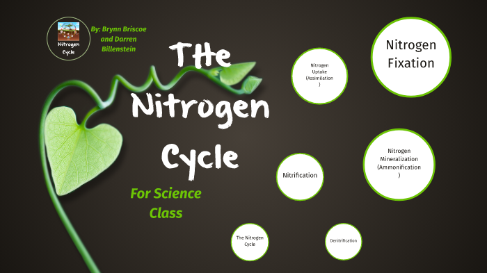 Science Class Nitrogen Cycle by BRYNN BRISCOE on Prezi