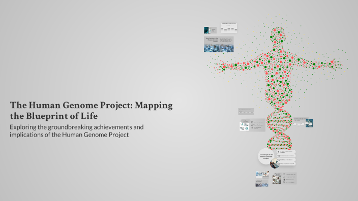 The Human Genome Project: Unraveling the Blueprint of Life by MASON ...