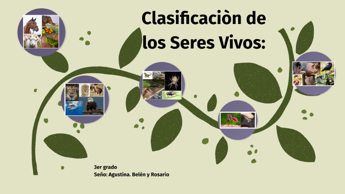 Clasificaciòn de los seres vivos by Beluu Sosa on Prezi