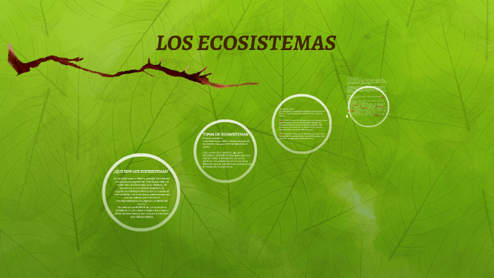 LOS ECOSISTEMAS by lina Acosta on Prezi