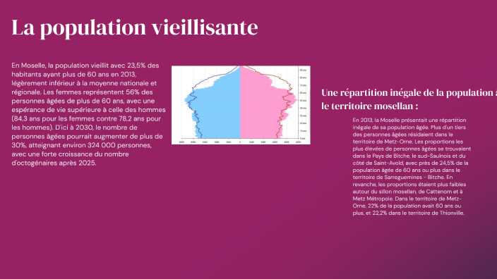 diagnostique socio-démographique by Meryem Adda-brahim on Prezi