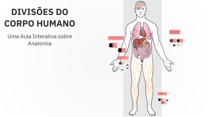 DIVISÕES DO CORPO HUMANO by Laura Luiza Dias on Prezi