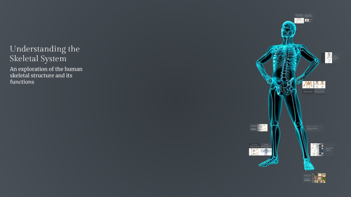 Understanding the Skeletal System by emily mendez on Prezi