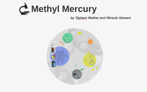 Methylmercury Essays