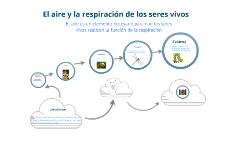 El aire y la respiraciòn de los seres vivos by lorena torres