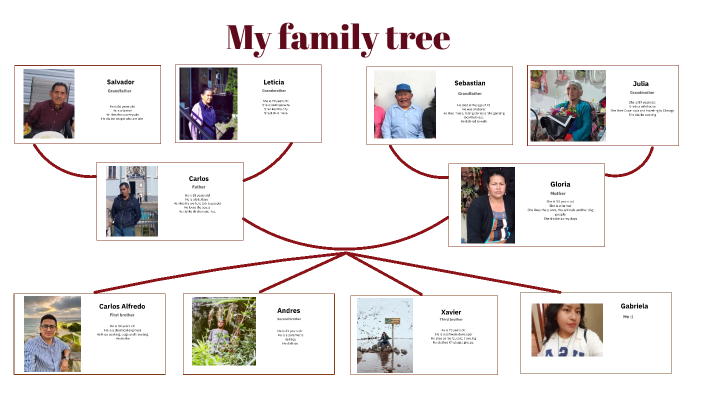 My family tree by GABRIELA LIZBETH YANZA QUITO on Prezi