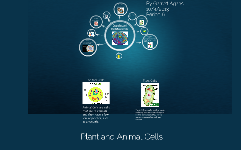 Animal and Plant Cells by Garrett Agans on Prezi