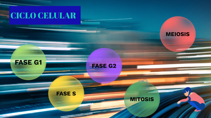 CICLO CELULAR by Oswa Humpiri on Prezi