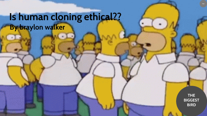 Is human cloning ethical?? by WALKER,BRAYLON SPSB on Prezi