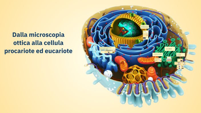 Dalla microscopia ottica alla cellula procariote ed eucariote by ...
