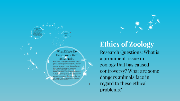 Ethics of Zoology by Elissa Baum