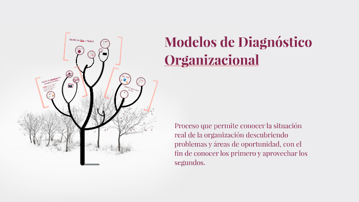 Modelos De Diagnóstico Organizacional By Yelii PachecOo On Prezi