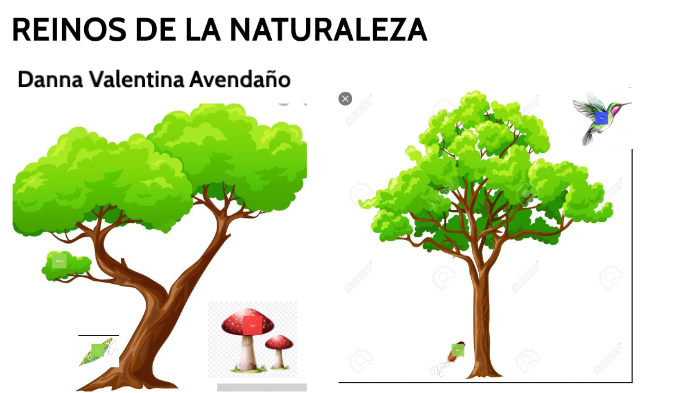 REINOS DE LA NATURALEZA by Danna Valentina Avendaño on Prezi