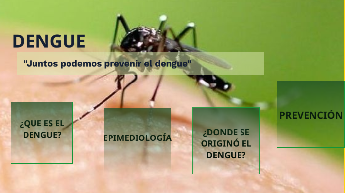 Que Es El Dengue En Diapositivas