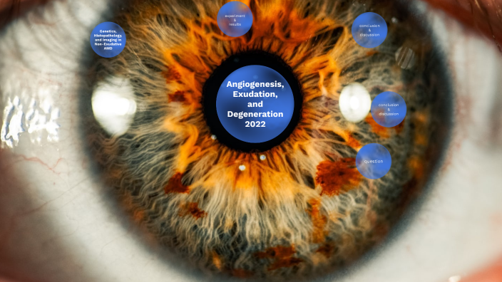 Bascom Palmer Angiogenesis, Exudation, and Degeneration 2022 by Damian