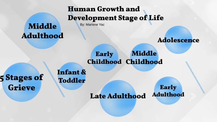 Human Growth And Development Stages Of Life By Marlene Yac