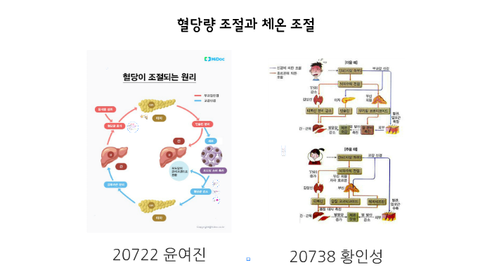 혈당량 조절과 체온 조절 by 진. 윤여 on Prezi