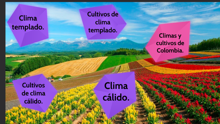 Climas Y Cultivos De Colombia By Laura Argaez On Prezi