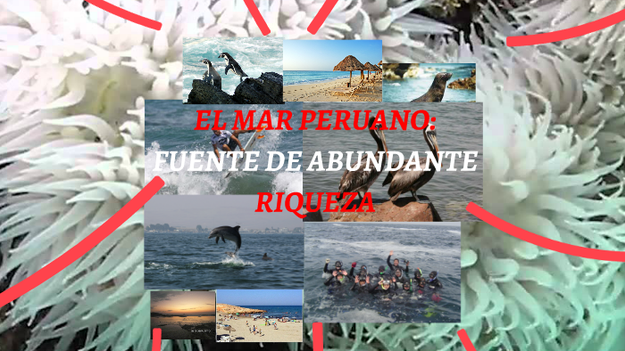 EL MAR PERUANO: FUENTE DE ABUNDANTE RIQUEZA By Nicolas Portugal On Prezi