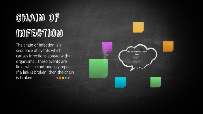 Chain of Infection by Savanna Broyhill on Prezi