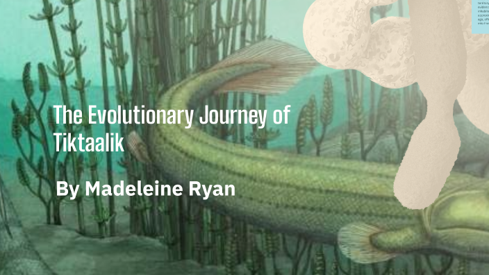 The Evolutionary Journey of Tiktaalik by Madeleine Ryan on Prezi