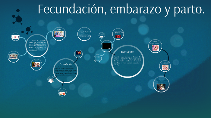 Fecundación, embarazo y parto. by Raquel Briceño on Prezi