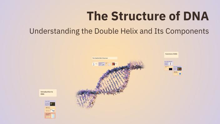 The Structure of DNA by Fatima Manni on Prezi