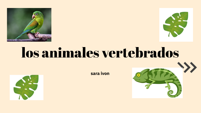 Los animales vertebrados son aquellos que poseen una columna vertebral ...