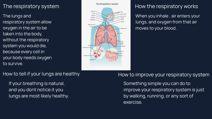 Health Fair- Respiratory System by Logan Troy on Prezi