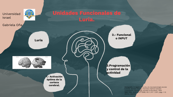 Unidades funcionales de Luria, Gabriela Oña by gabriela oña on Prezi