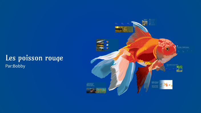 The Invasive Goldfish by Bobby Klems [Student] on Prezi