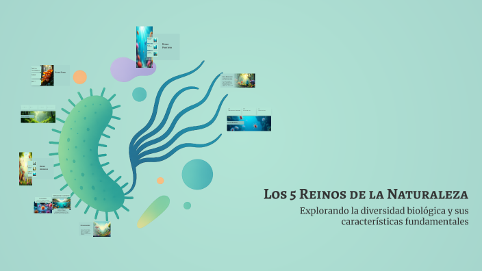 Los 5 Reinos de la Naturaleza by Tammy Samara González Guaba on Prezi